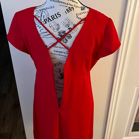 Chic Scarlet Mini Dress - Picture 5 of 13